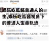 娱乐吃瓜酱普通人的一生,娱乐吃瓜酱视角下的普通人生命轨迹