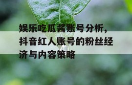 娱乐吃瓜酱账号分析,抖音红人账号的粉丝经济与内容策略