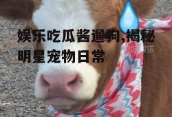 娱乐吃瓜酱遛狗,揭秘明星宠物日常