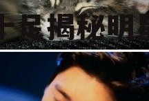 娱乐圈猫猫吃瓜图片,萌态十足揭秘明星幕后趣闻