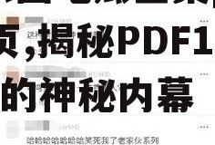 娱乐圈吃瓜全集pdf12页,揭秘PDF12页的神秘内幕