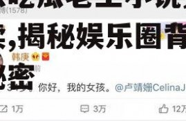 娱乐吃瓜老王小说免费阅读,揭秘娱乐圈背后的秘密