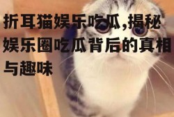 折耳猫娱乐吃瓜,揭秘娱乐圈吃瓜背后的真相与趣味
