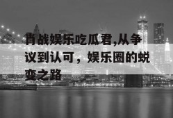 肖战娱乐吃瓜君,从争议到认可，娱乐圈的蜕变之路