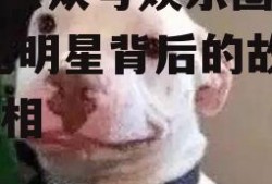 微信公众号娱乐圈吃瓜,揭秘明星背后的故事与真相