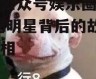 微信公众号娱乐圈吃瓜,揭秘明星背后的故事与真相