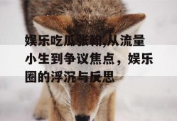 娱乐吃瓜张翰,从流量小生到争议焦点，娱乐圈的浮沉与反思