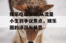 娱乐吃瓜张翰,从流量小生到争议焦点，娱乐圈的浮沉与反思