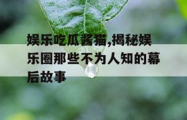 娱乐吃瓜酱猫,揭秘娱乐圈那些不为人知的幕后故事
