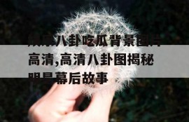 娱乐八卦吃瓜背景图片高清,高清八卦图揭秘明星幕后故事