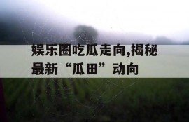 娱乐圈吃瓜走向,揭秘最新“瓜田”动向