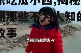娱乐吃瓜小西,揭秘娱乐圈那些不为人知的幕后故事
