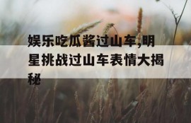 娱乐吃瓜酱过山车,明星挑战过山车表情大揭秘
