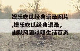 娱乐吃瓜经典语录图片,娱乐吃瓜经典语录，幽默风趣映照生活百态