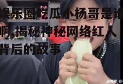 娱乐圈吃瓜小杨哥是谁啊,揭秘神秘网络红人背后的故事
