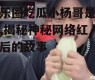 娱乐圈吃瓜小杨哥是谁啊,揭秘神秘网络红人背后的故事