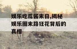 娱乐吃瓜酱末日,揭秘娱乐圈末路狂花背后的真相