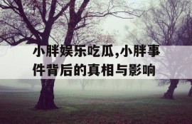 小胖娱乐吃瓜,小胖事件背后的真相与影响