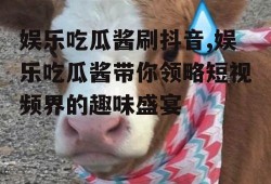 娱乐吃瓜酱刷抖音,娱乐吃瓜酱带你领略短视频界的趣味盛宴