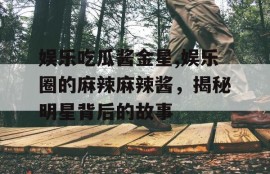 娱乐吃瓜酱金星,娱乐圈的麻辣麻辣酱，揭秘明星背后的故事