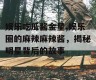 娱乐吃瓜酱金星,娱乐圈的麻辣麻辣酱，揭秘明星背后的故事