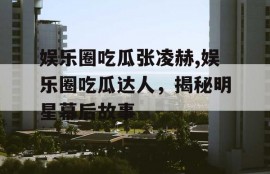 娱乐圈吃瓜张凌赫,娱乐圈吃瓜达人，揭秘明星幕后故事