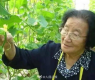 娱乐吃瓜君高压水枪,高压水枪背后的娱乐风云