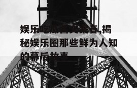 娱乐吃瓜酱文案音,揭秘娱乐圈那些鲜为人知的幕后故事