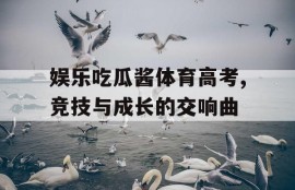 娱乐吃瓜酱体育高考,竞技与成长的交响曲