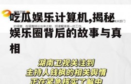 吃瓜娱乐计算机,揭秘娱乐圈背后的故事与真相