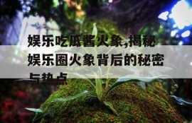 娱乐吃瓜酱火象,揭秘娱乐圈火象背后的秘密与热点