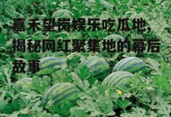 嘉禾望岗娱乐吃瓜地,揭秘网红聚集地的幕后故事