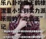 娱乐八卦吃瓜王鹤棣,从流量小生到实力派，娱乐圈的“吃瓜王”成长记