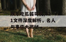 娱乐吃瓜酱司机,421文件深度解析，名人与事件大揭秘