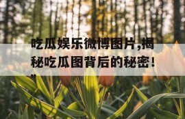 吃瓜娱乐微博图片,揭秘吃瓜图背后的秘密！”