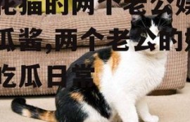 三花猫的两个老公娱乐吃瓜酱,两个老公的娱乐吃瓜日常