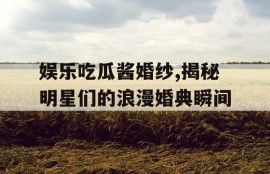 娱乐吃瓜酱婚纱,揭秘明星们的浪漫婚典瞬间
