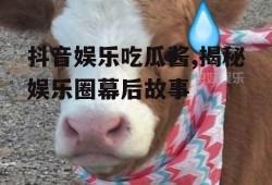 抖音娱乐吃瓜酱,揭秘娱乐圈幕后故事