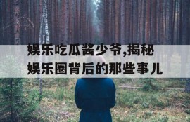 娱乐吃瓜酱少爷,揭秘娱乐圈背后的那些事儿