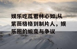 娱乐吃瓜君林心如,从紫薇格格到制片人，娱乐圈的蜕变与争议