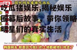 吃瓜猪娱乐,揭秘娱乐圈幕后故事，带你领略明星们的真实生活