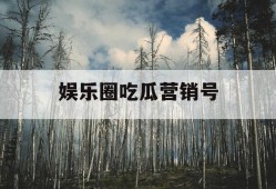 娱乐圈吃瓜营销号