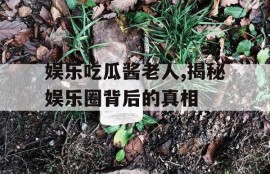 娱乐吃瓜酱老人,揭秘娱乐圈背后的真相