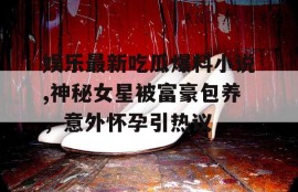 娱乐最新吃瓜爆料小说,神秘女星被富豪包养，意外怀孕引热议