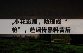 娱乐吃瓜小花设局视频,小花设局，助理成“枪”，造谣传黑料背后的真相