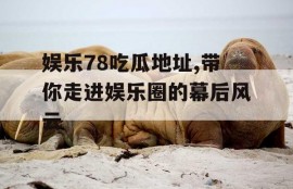 娱乐78吃瓜地址,带你走进娱乐圈的幕后风云
