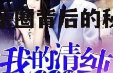 娱乐吃瓜小姐小说,揭秘娱乐圈背后的秘密与真相