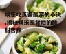 娱乐吃瓜酱酸菜的小说,揭秘娱乐圈背后的酸甜苦辣