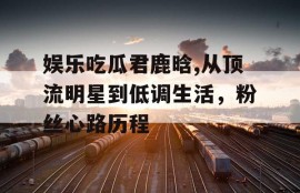 娱乐吃瓜君鹿晗,从顶流明星到低调生活，粉丝心路历程