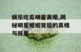 娱乐吃瓜明星离婚,揭秘明星婚姻背后的真相与反思